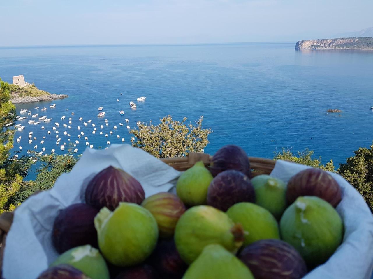 Villa Crawford San Nicola Arcella Bagian luar foto
